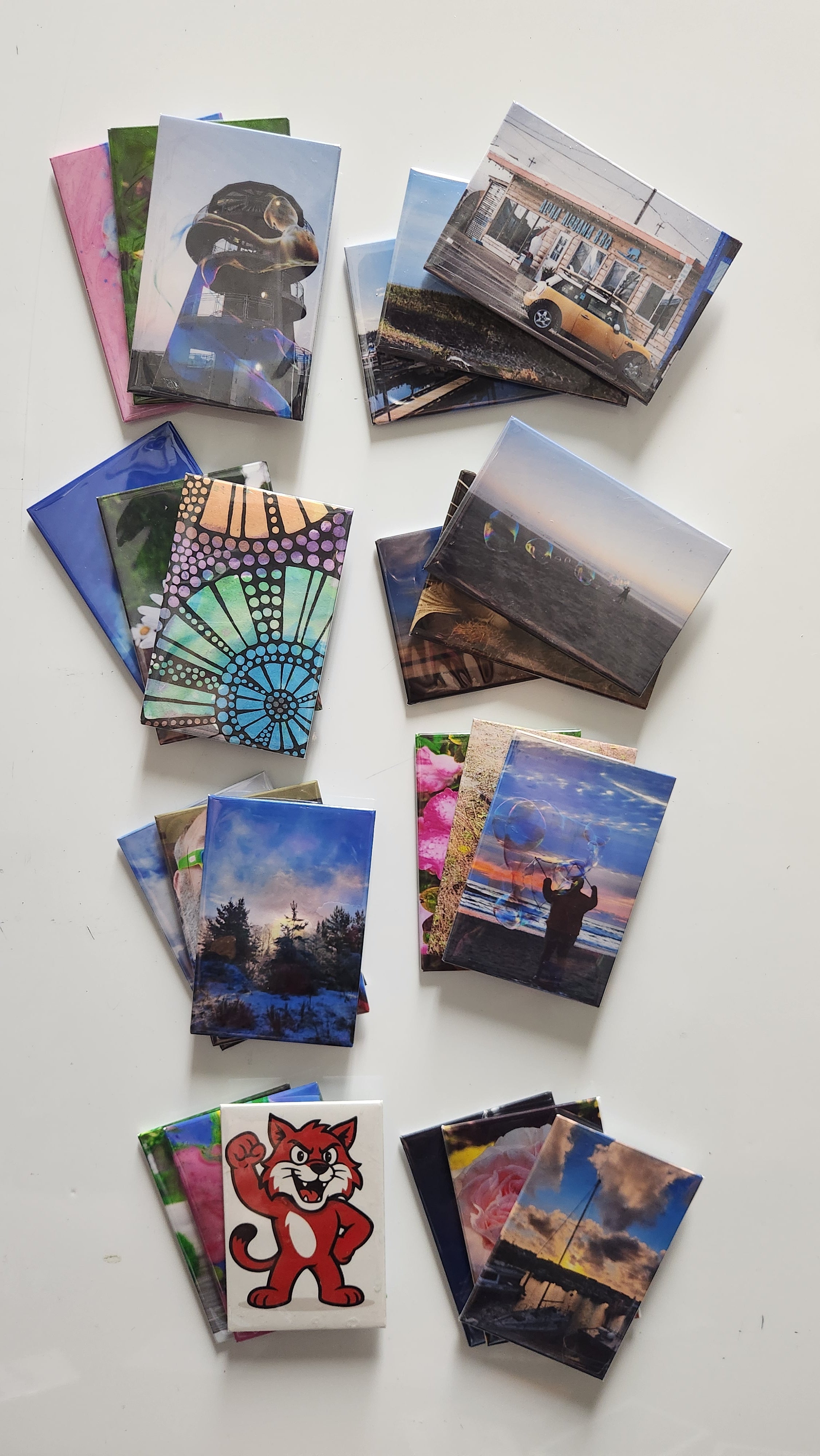 Two Dozen, What A Collection!